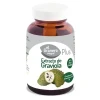 GRAVIOLA (Immune System, Depurative, Anti Parasite)